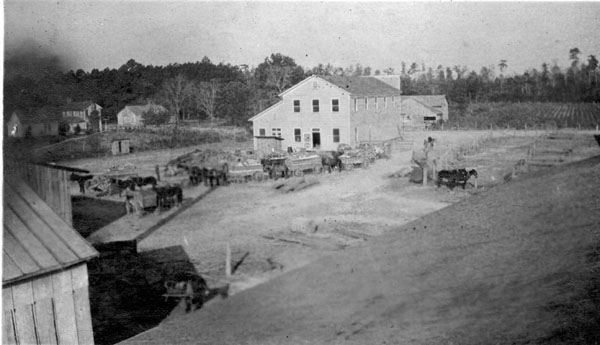 Farmers on the way to the cotten gin.
